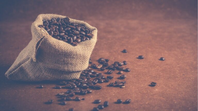 Different Types of Coffee Beans and Their Effects on Taste